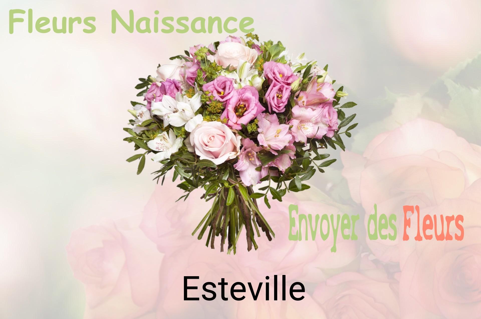 Bouquet de fleurs de naissance livré à Esteville