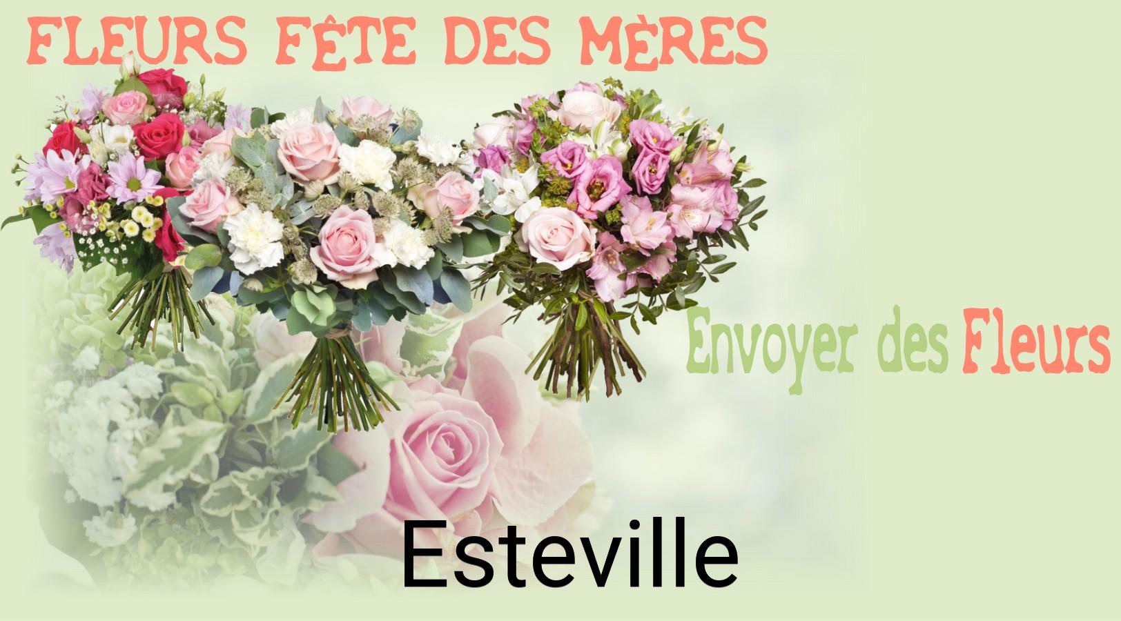 Bouquet de Fête des Mères livré à Esteville